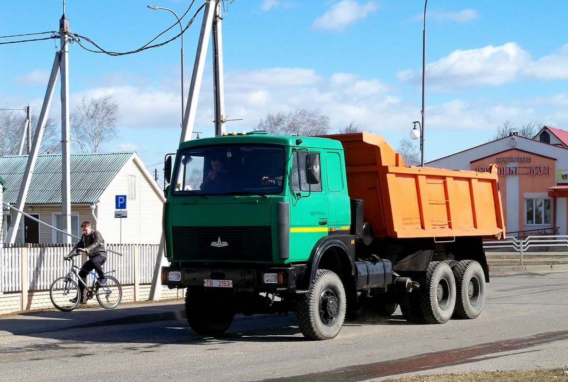 Могилёвская область, № ТВ 2153 — МАЗ-6517 (общая модель)