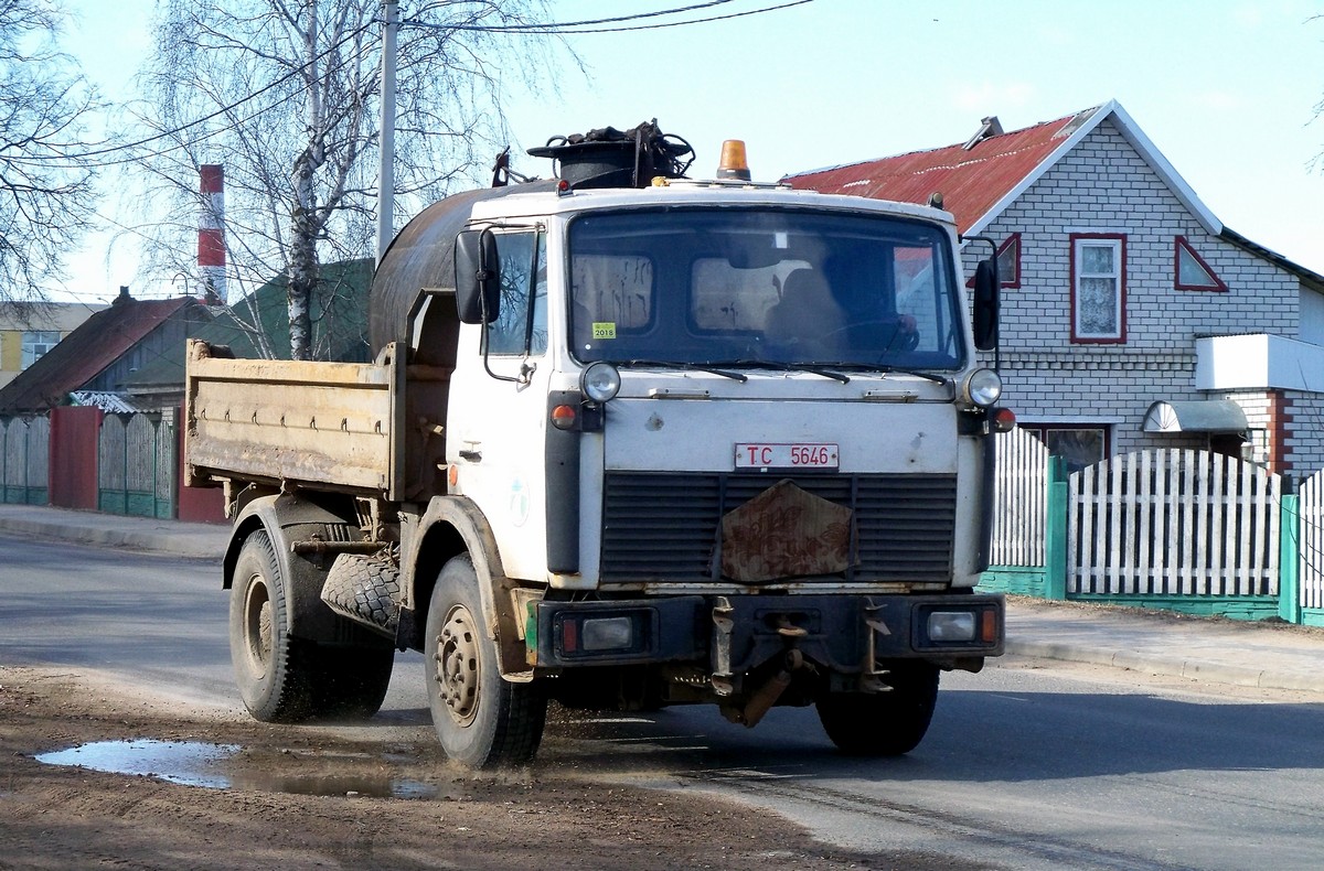 Могилёвская область, № ТС 5646 — МАЗ-5551 (общая модель)