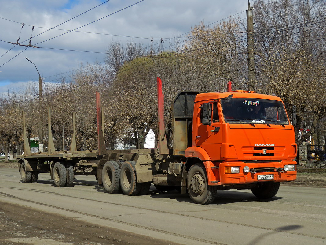 Кировская область, № Е 263 ОТ 43 — КамАЗ-65115-D3