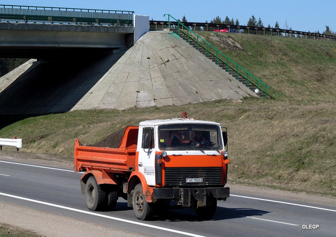 Витебская область, № АЕ 7603-2 — МАЗ-5551 (общая модель)