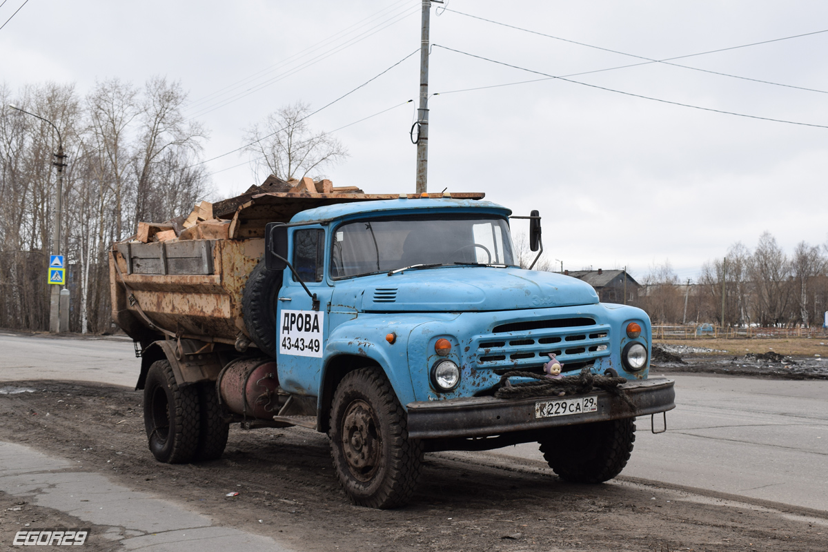 Архангельская область, № К 229 СА 29 — ЗИЛ-495710