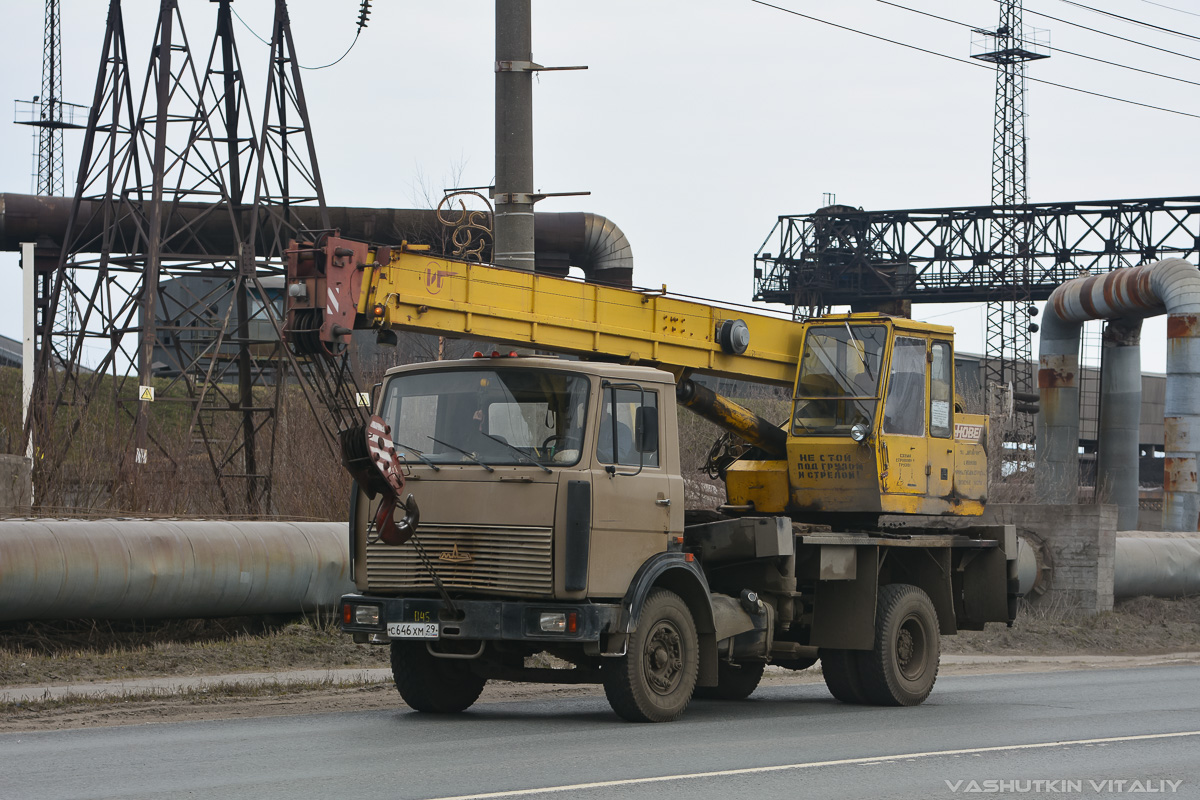 Архангельская область, № С 646 ХМ 29 — МАЗ-5337 [533700]