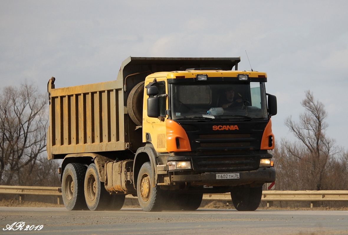 Воронежская область, № Т 602 ТМ 36 — Scania ('2004) P380