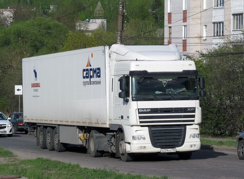 Московская область, № Х 239 НХ 750 — DAF XF105 FT