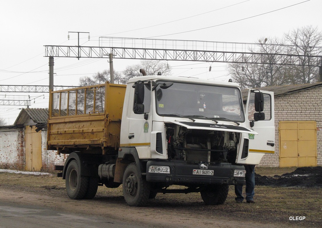 Витебская область, № АІ 9491-2 — МАЗ-4571