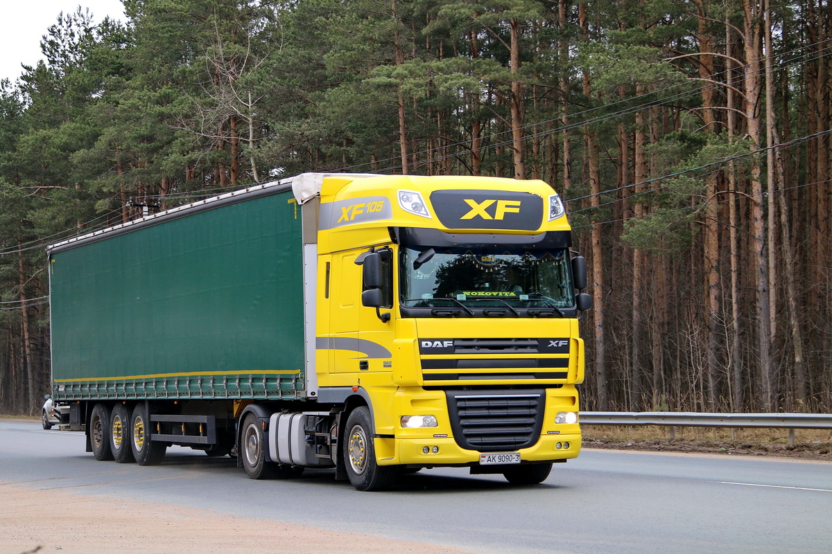 Гомельская область, № АК 9090-3 — DAF XF105 FT