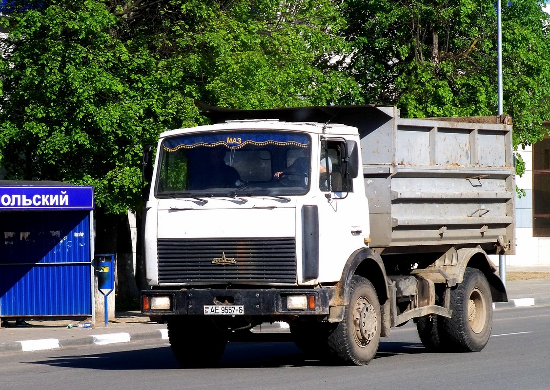 Могилёвская область, № АЕ 9557-6 — МАЗ-5551 (общая модель)