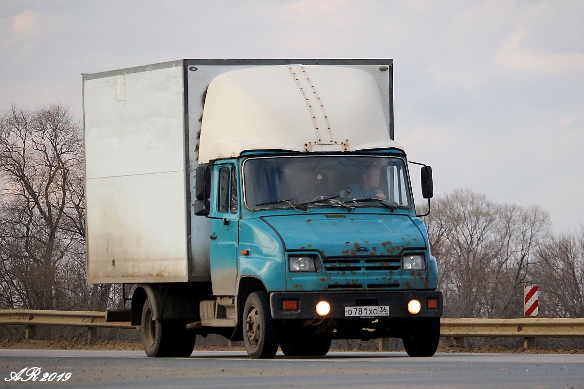 Воронежская область, № О 781 ХО 36 — ЗИЛ-5301 "Бычок"(общая модель)