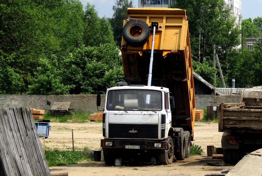 Могилёвская область, № АА 6601-6 — МАЗ-551605