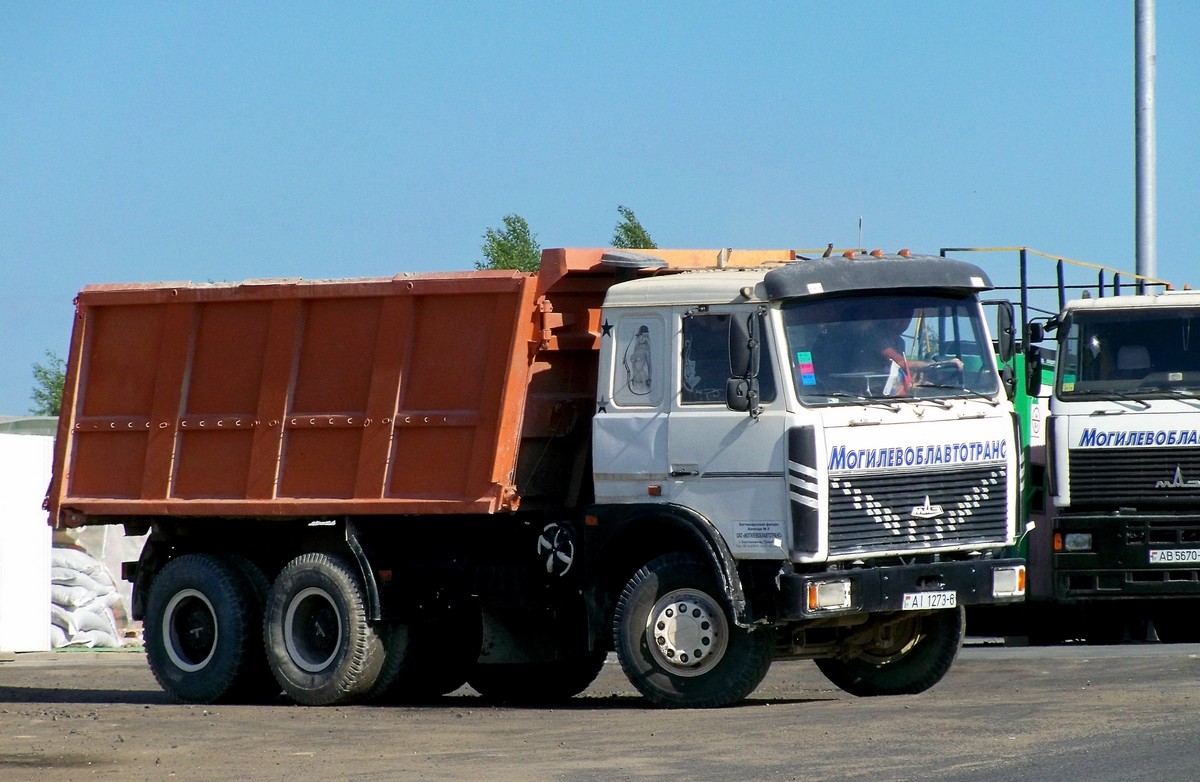 Могилёвская область, № АІ 1273-6 — МАЗ-5516 (общая модель)