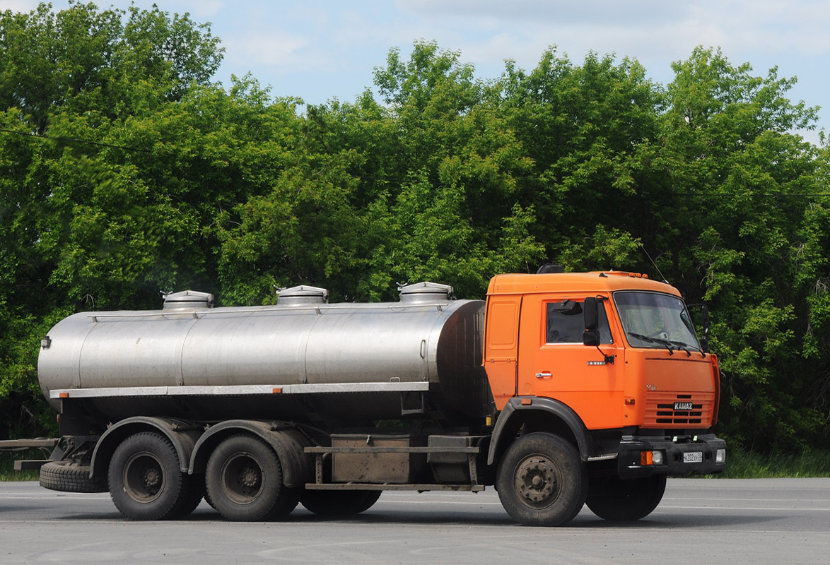 Омская область, № Н 202 ХН 55 — КамАЗ-65115 (общая модель)