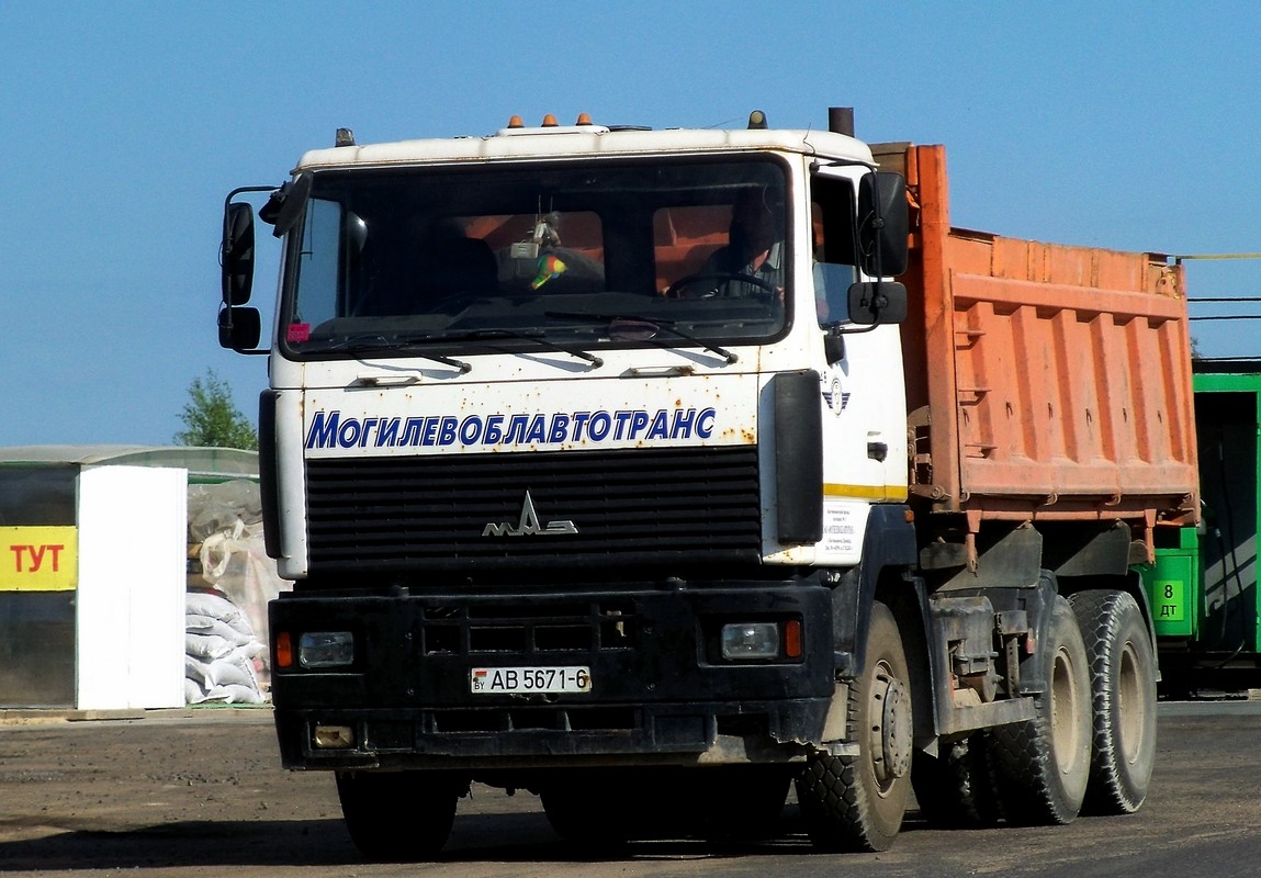 Могилёвская область, № 248 — МАЗ-6501 (общая модель)