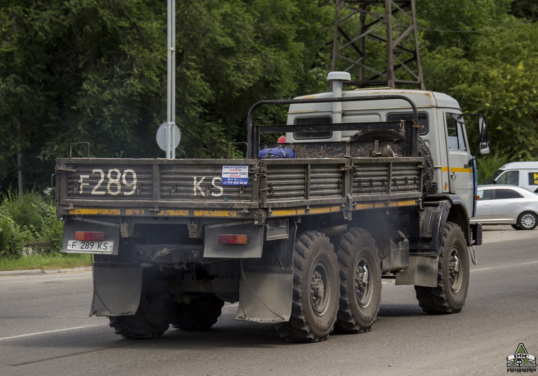 Восточно-Казахстанская область, № F 289 KS — КамАЗ-43114 (общая модель)