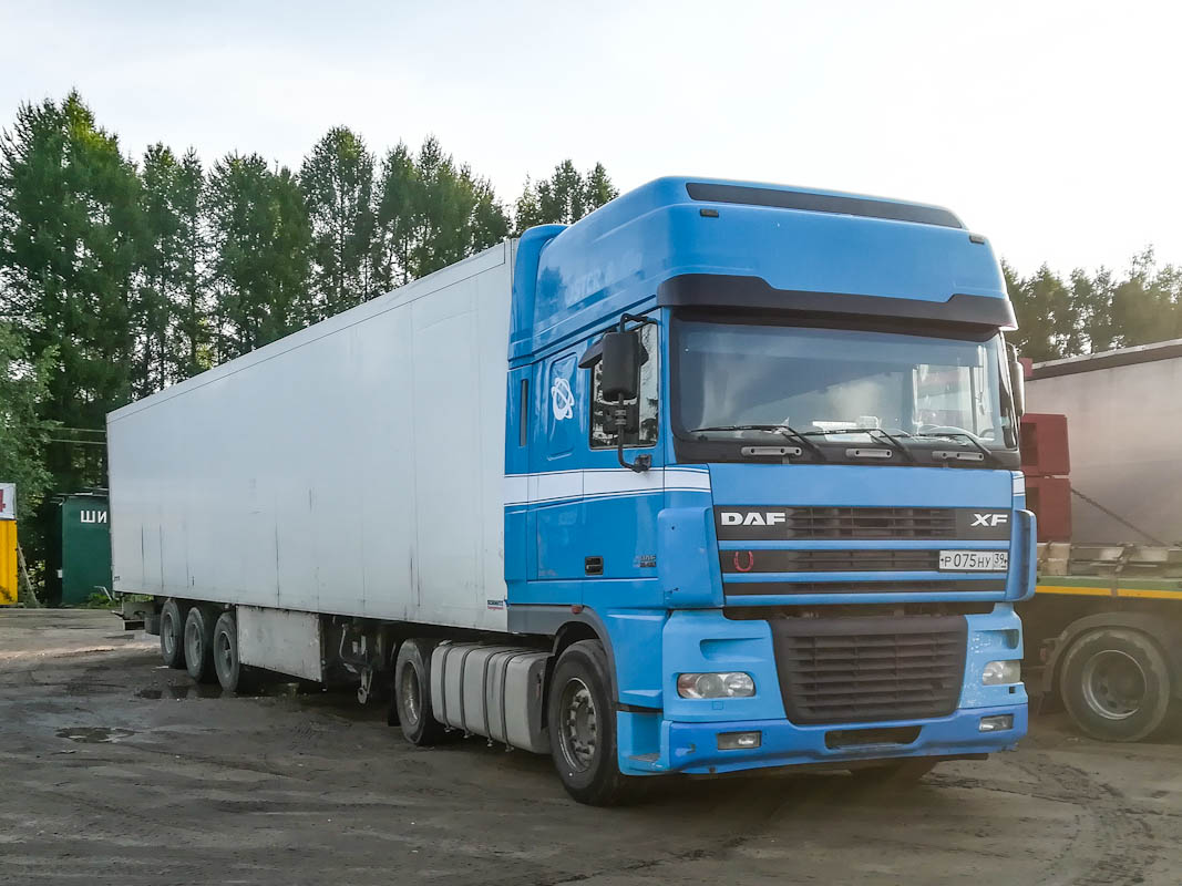 Дагестан, № Р 075 НУ 39 — DAF XF95 FT