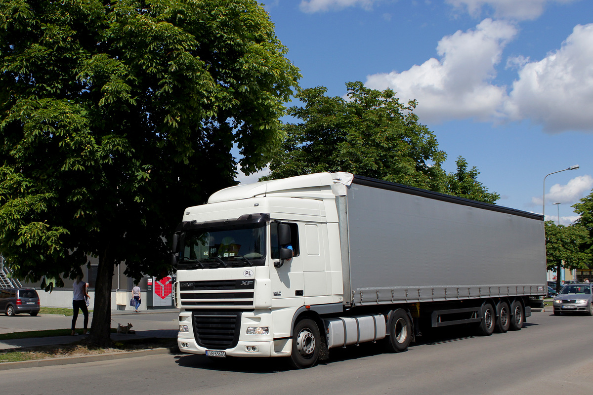 Польша, № LUB 65685 — DAF XF105 FT