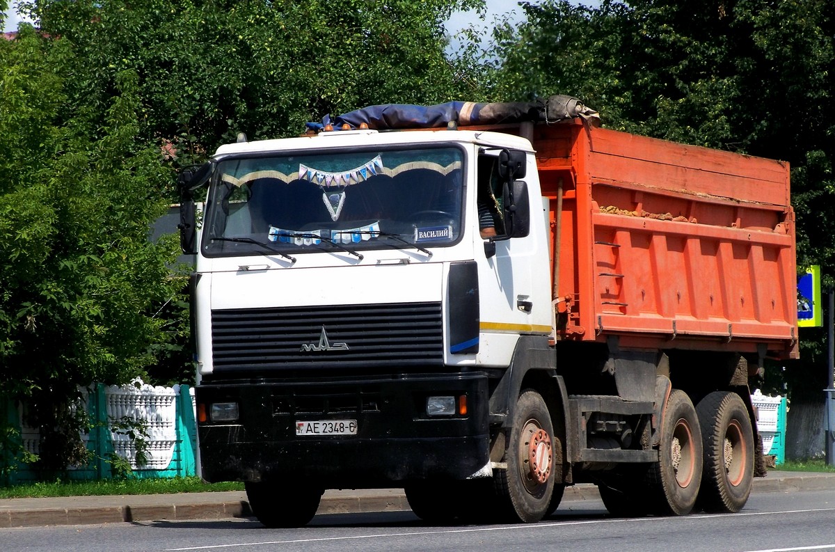 Могилёвская область, № АЕ 2348-6 — МАЗ-6501 (общая модель)