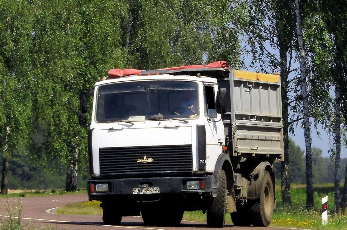 Могилёвская область, № 708 — МАЗ-5551 (общая модель)