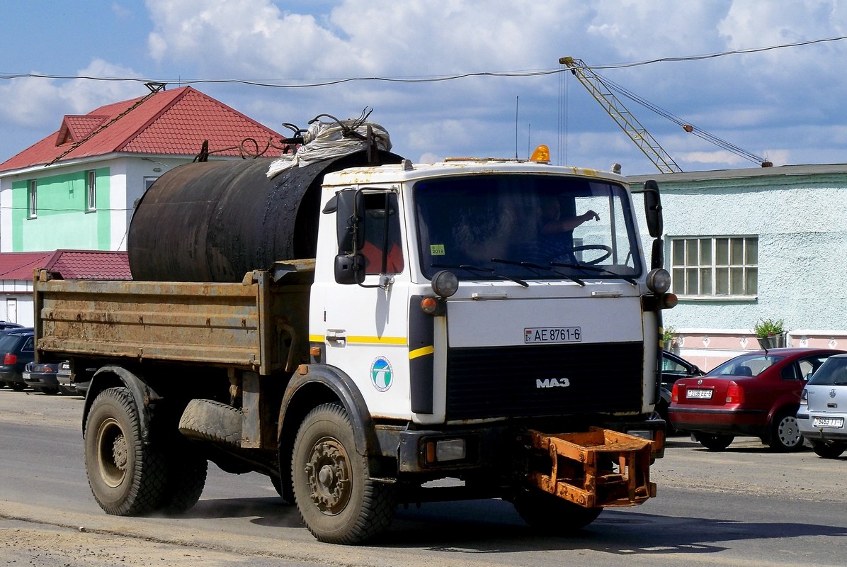 Могилёвская область, № АЕ 8761-6 — МАЗ-5551 (общая модель)