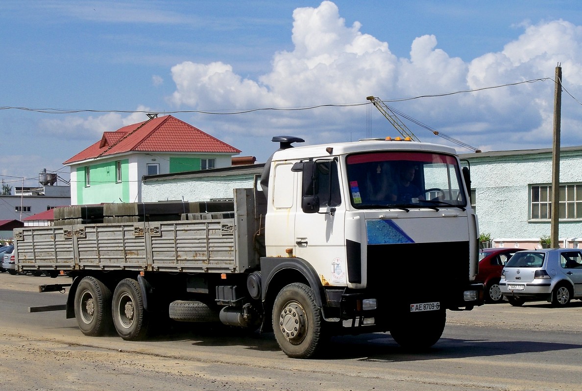 Могилёвская область, № АЕ 8709-6 — МАЗ-6303 (общая модель)