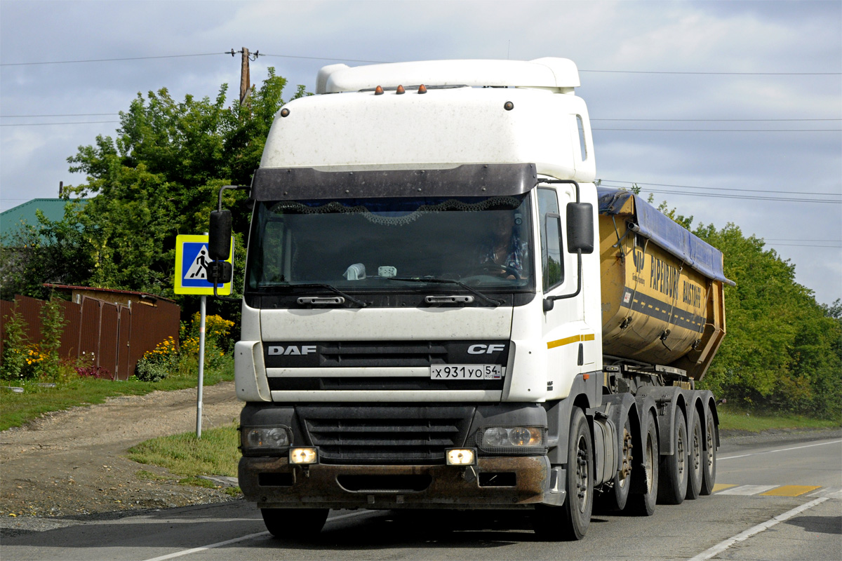 Новосибирская область, № Х 931 УО 54 — DAF CF85 FTG