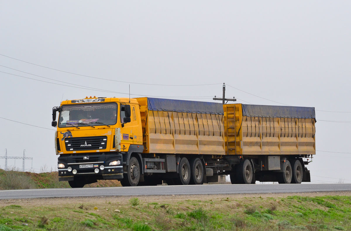 Волгоградская область, № Е 995 НС 134 — МАЗ-6501A8