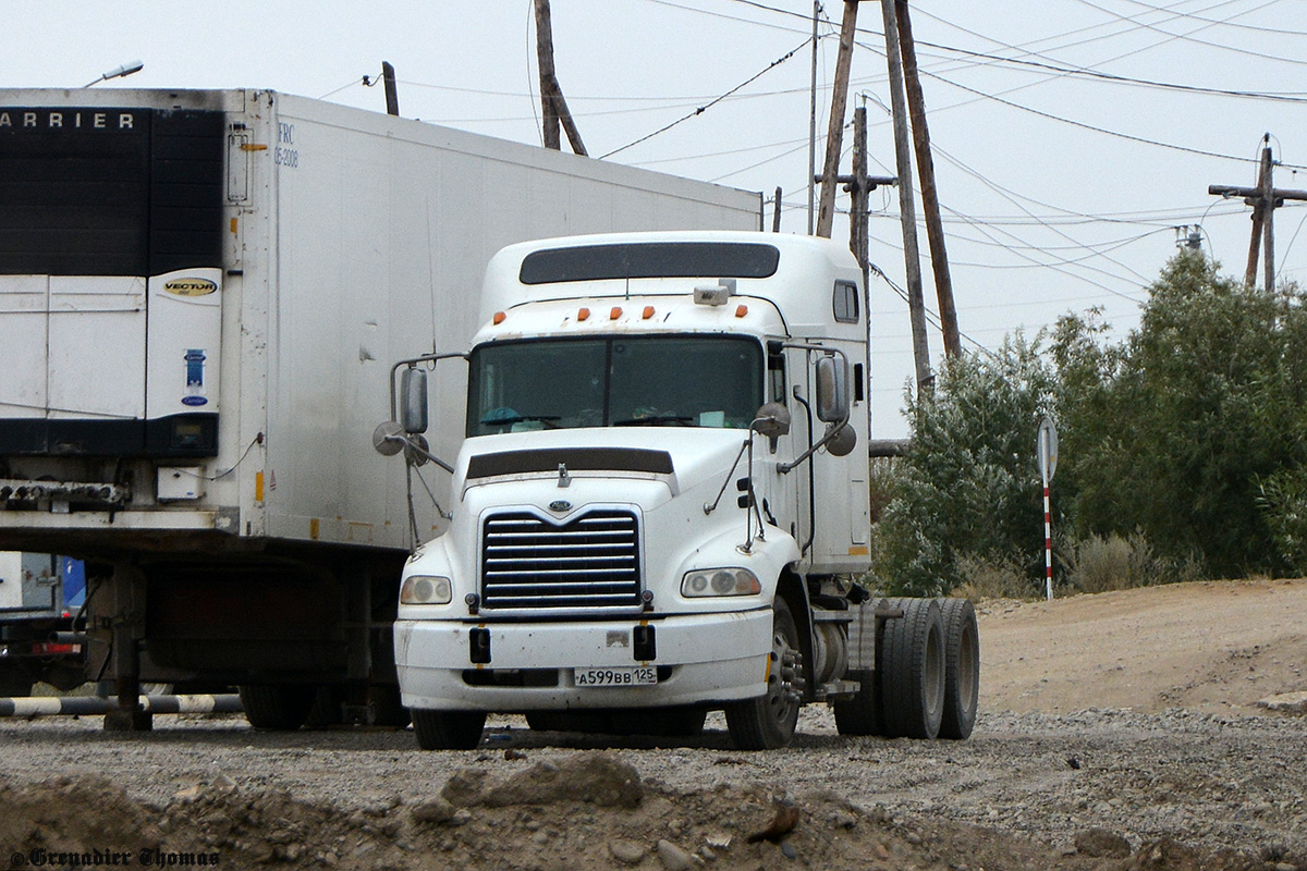 Приморский край, № А 599 ВВ 125 — Mack Vision (Pinnacle)