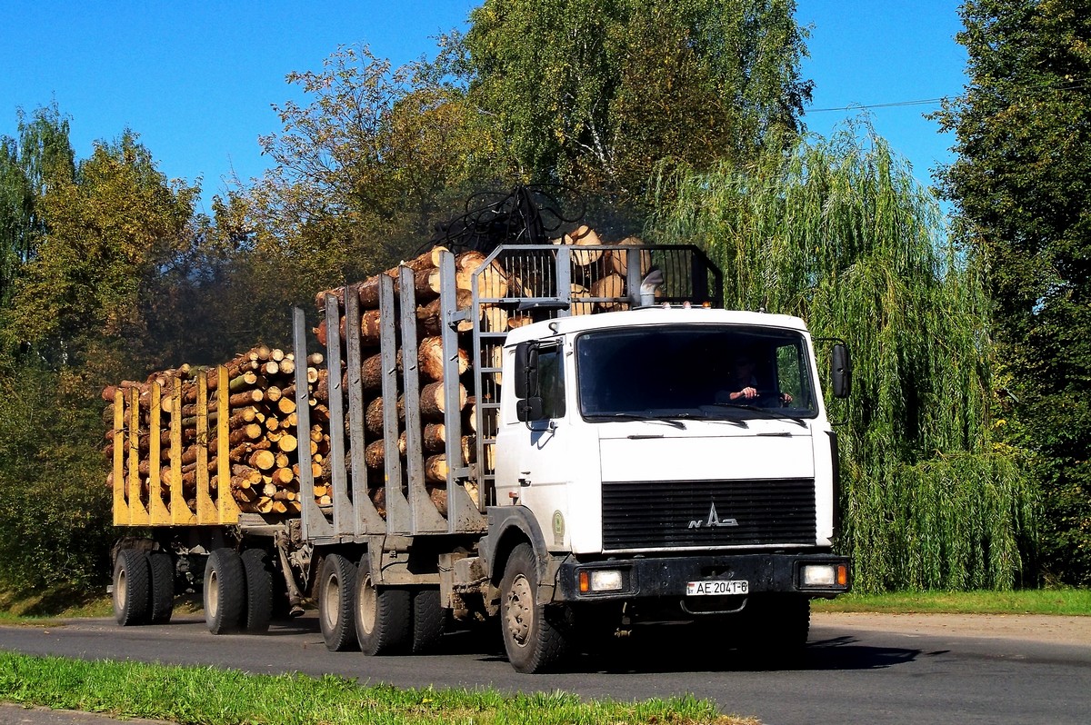 Могилёвская область, № АЕ 2041-6 — МАЗ-6303 (общая модель)