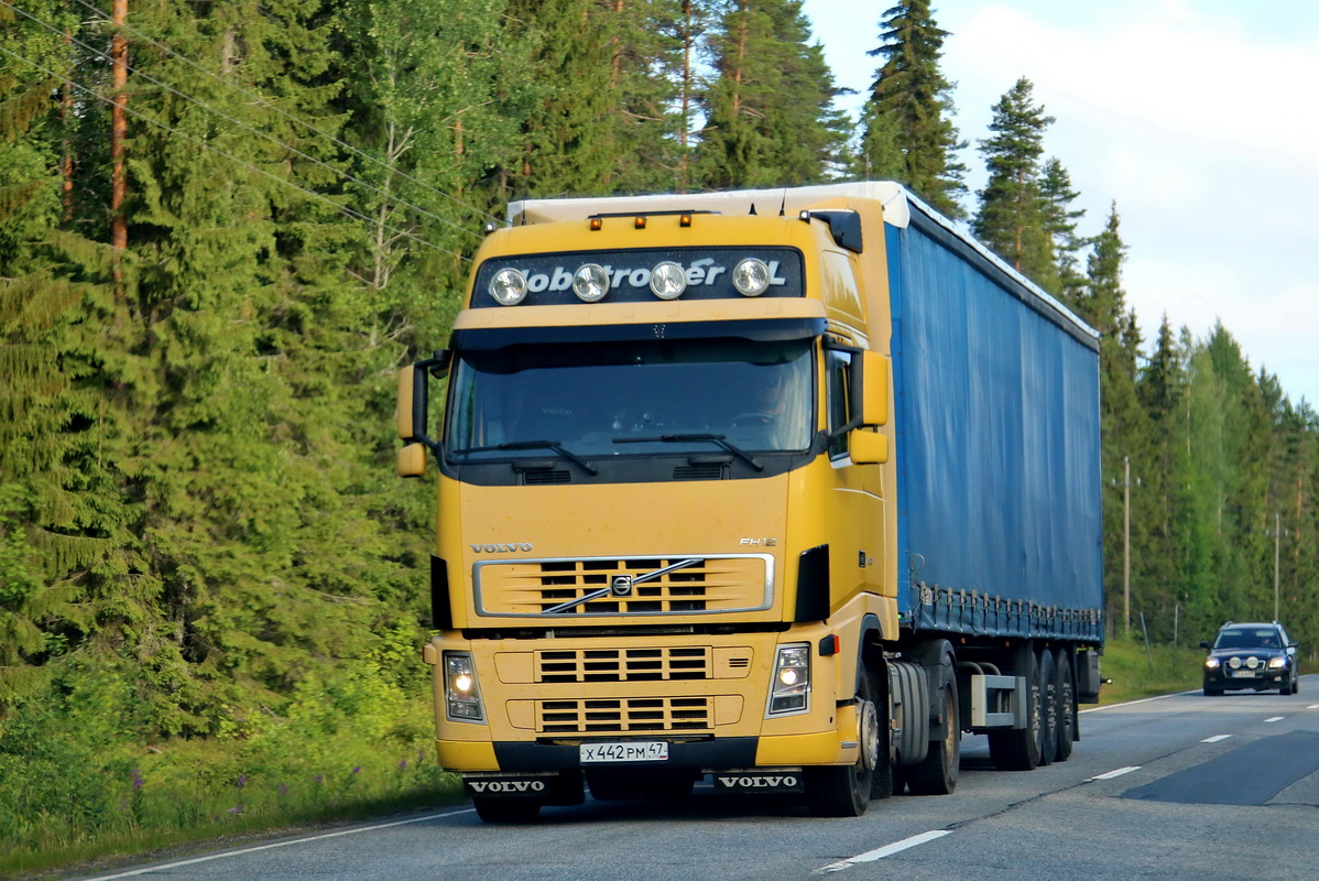 Ленинградская область, № Х 442 РМ 47 — Volvo ('2002) FH-Series