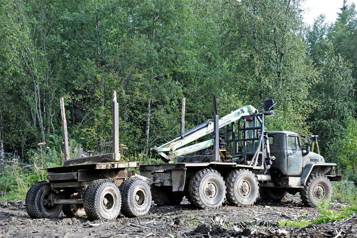 Кемеровская область, № (42) Б/Н 0036 — Урал-43204