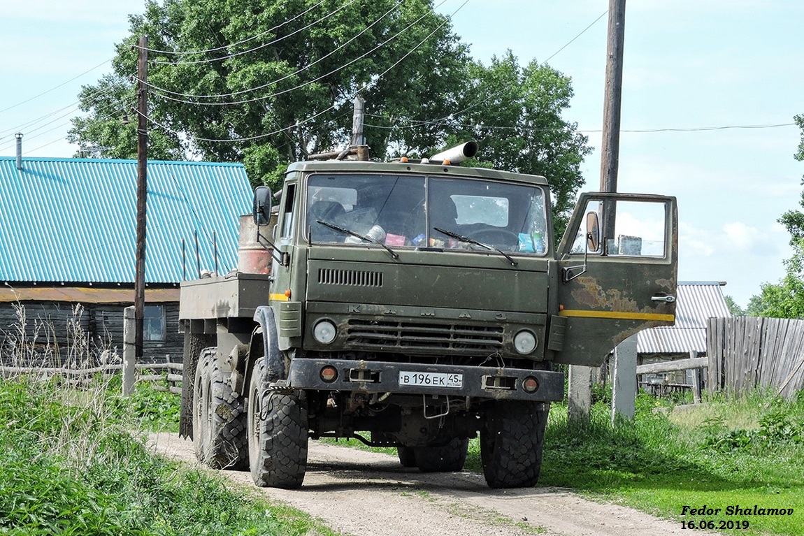 Курганская область, № В 196 ЕК 45 — КамАЗ-4310