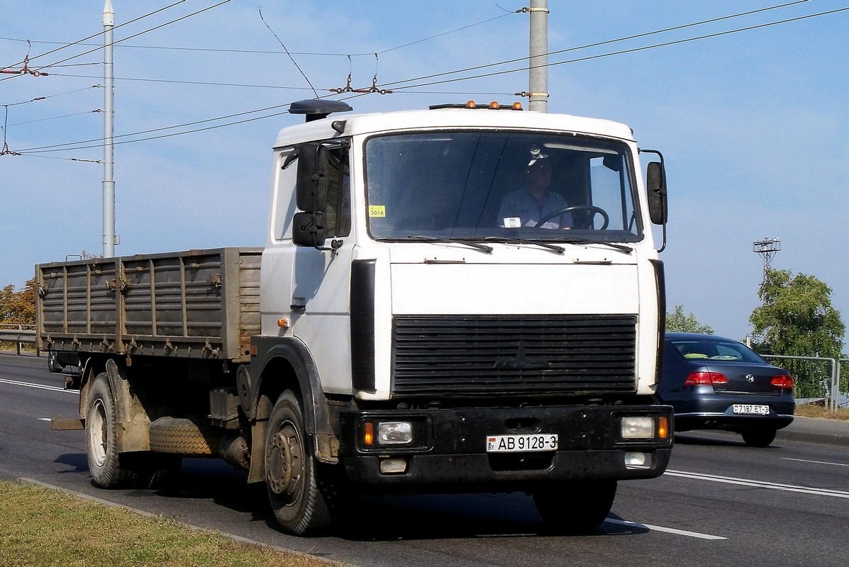 Гомельская область, № АВ 9128-3 — МАЗ-5336 (общая модель)