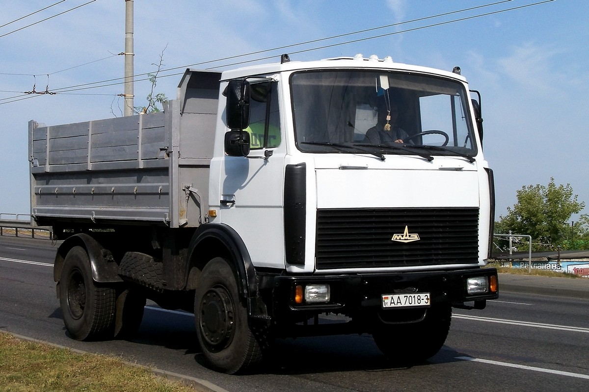 Гомельская область, № АА 7018-3 — МАЗ-5551 (общая модель)