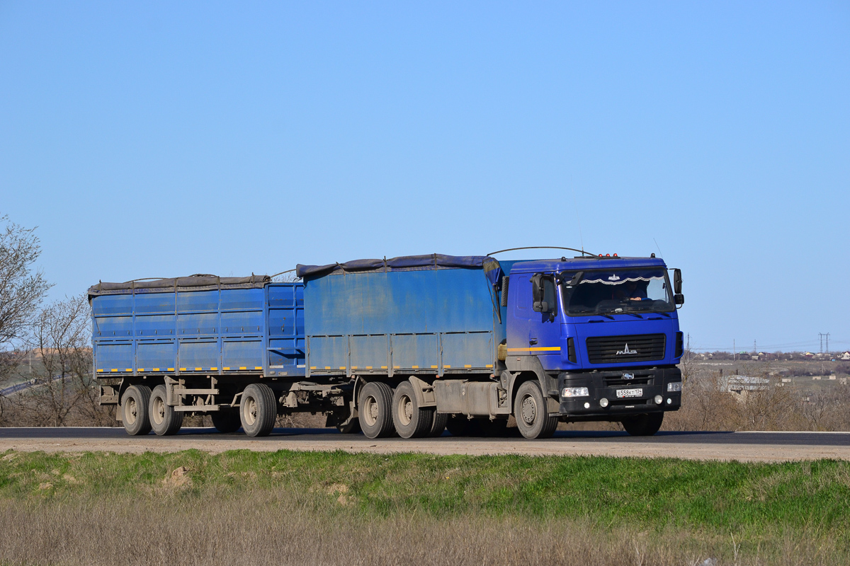 Волгоградская область, № Е 558 КТ 134 — МАЗ-6312C9