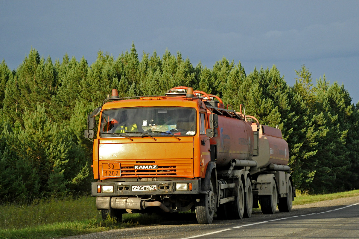 Кемеровская область, № С 485 ВН 142 — КамАЗ-65115-N3