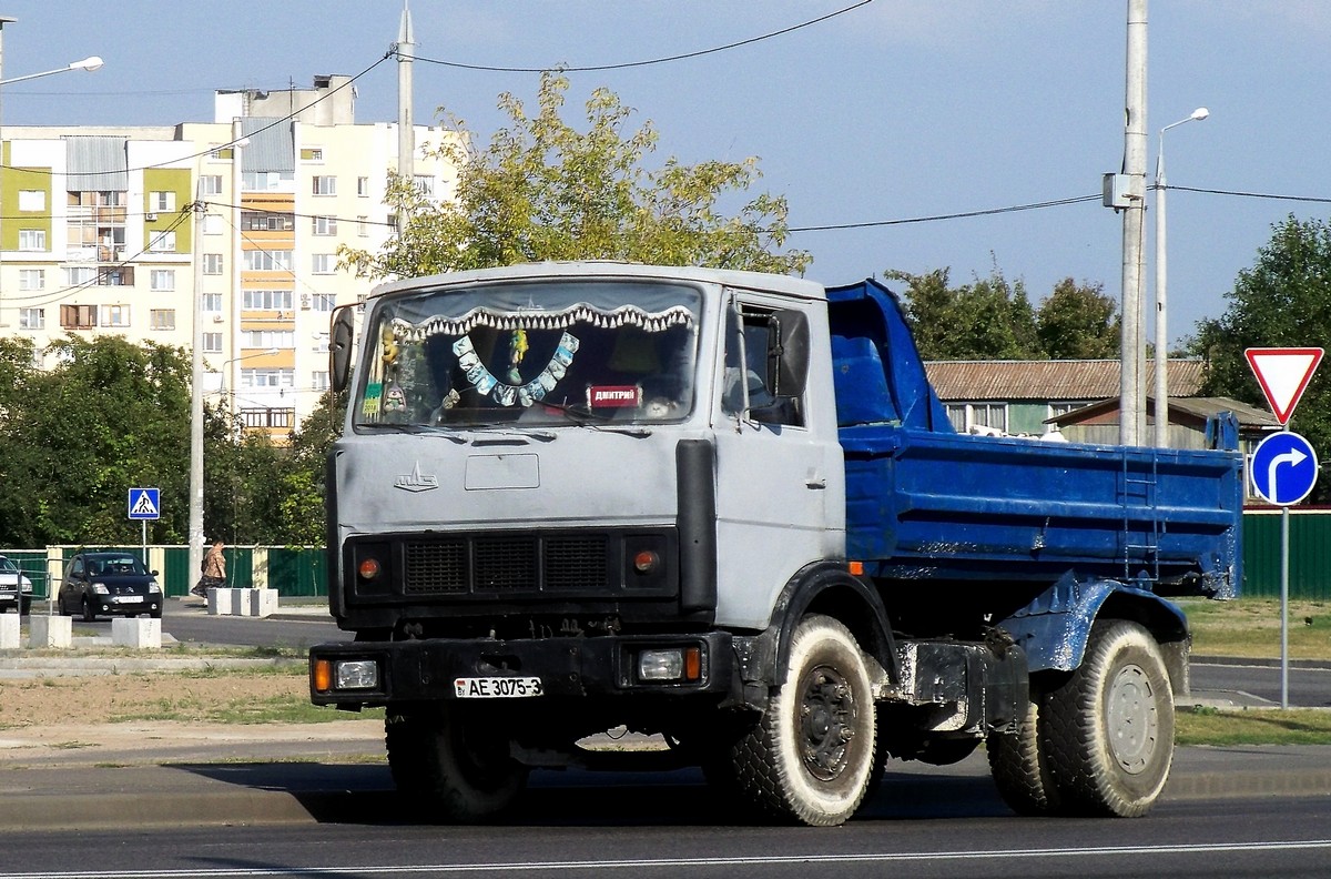 Гомельская область, № АЕ 3075-3 — МАЗ-5551 [555100]