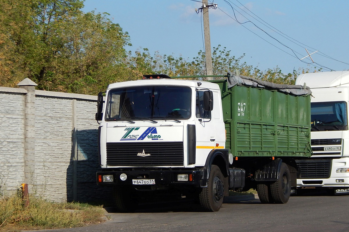 Белгородская область, № Р 647 ЕО 31 — МАЗ-5336A5