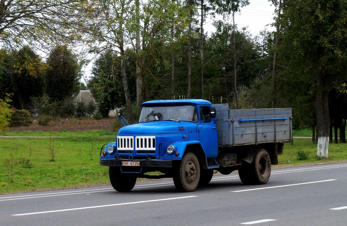 Могилёвская область, № ТМ 6725 — ЗИЛ-431410