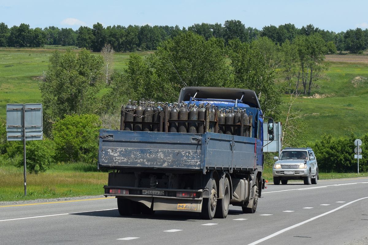 Алтайский край, № Р 266 УА 22 — MAN F90 25.372