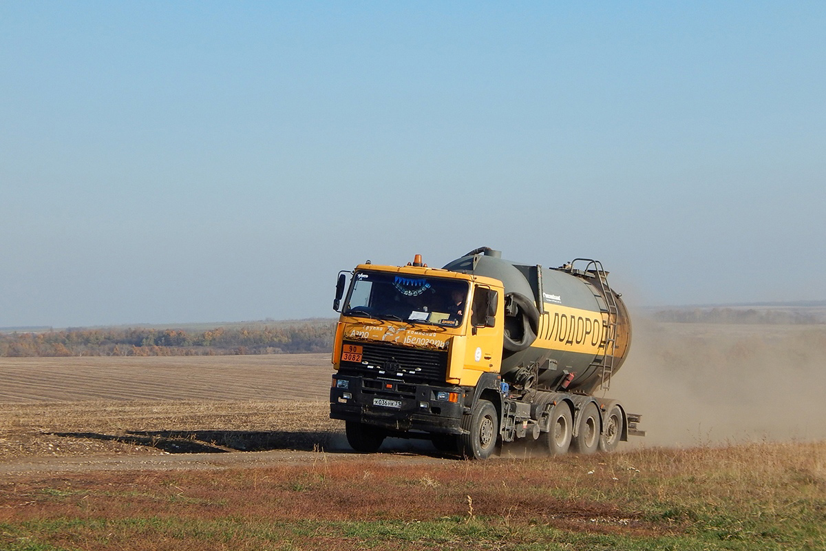 Белгородская область, № К 036 НК 31 — МАЗ-MAN-7312