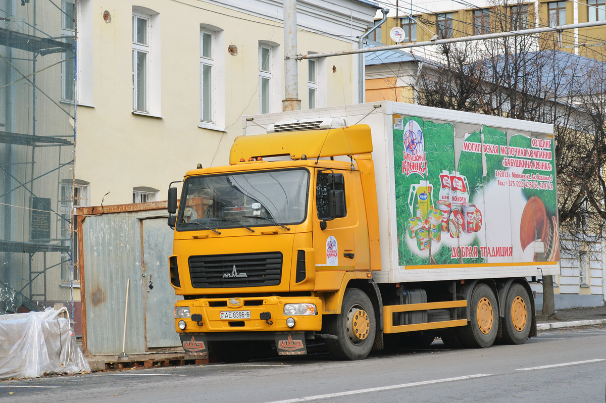 Могилёвская область, № АЕ 8396-6 — МАЗ-6312 (общая модель)