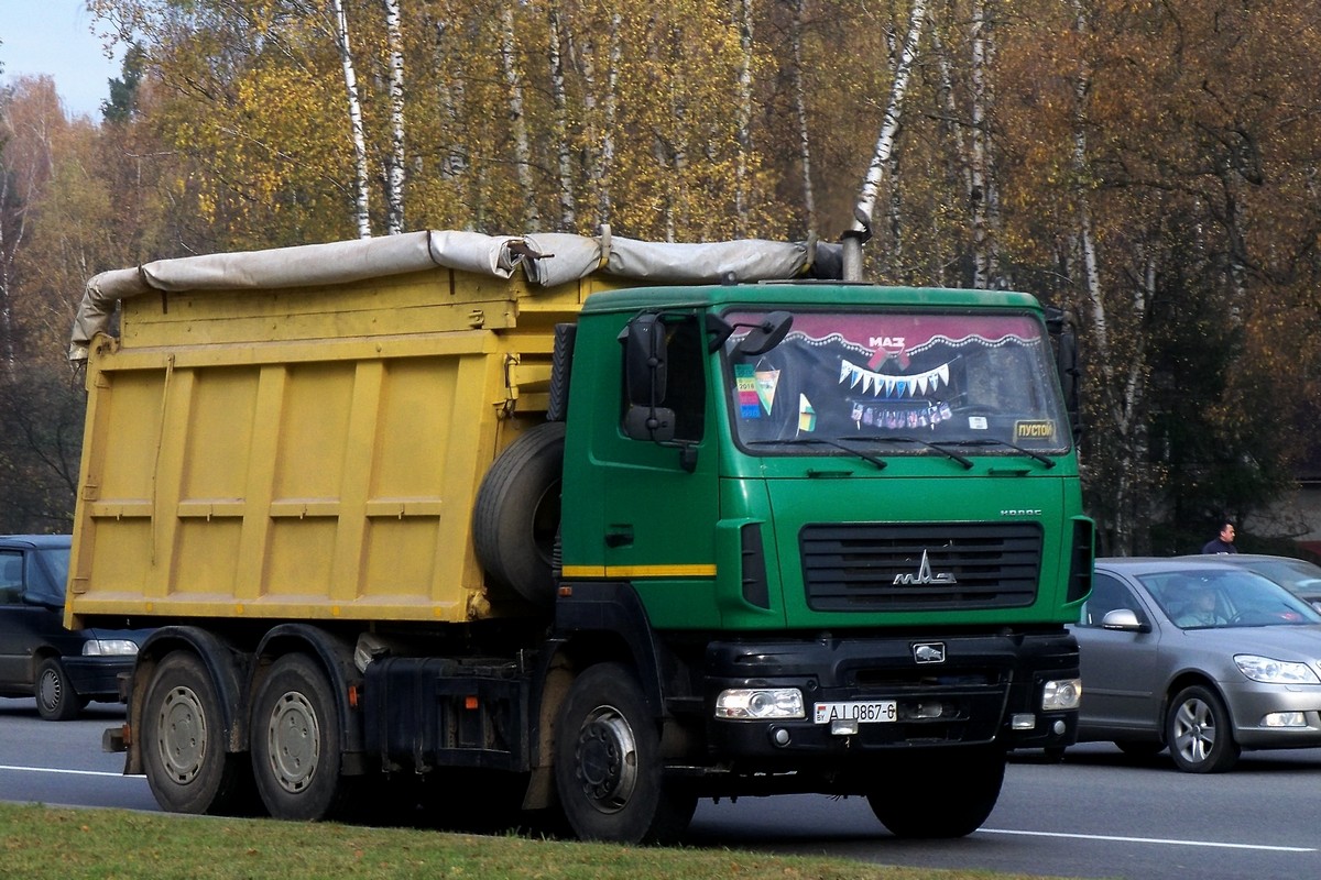 Могилёвская область, № АІ 0867-6 — МАЗ-6501 (общая модель)