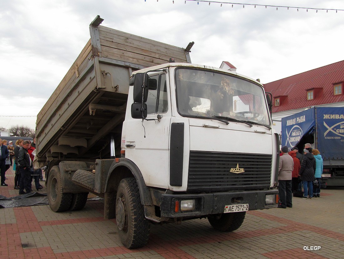 Витебская область, № АЕ 7572-2 — МАЗ-5551 (общая модель)