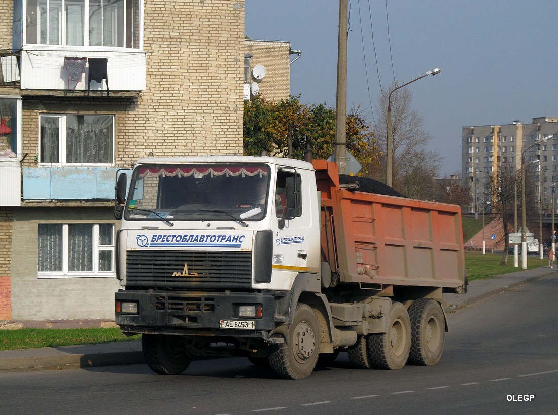 Брестская область, № 8 — МАЗ-6501 (общая модель)