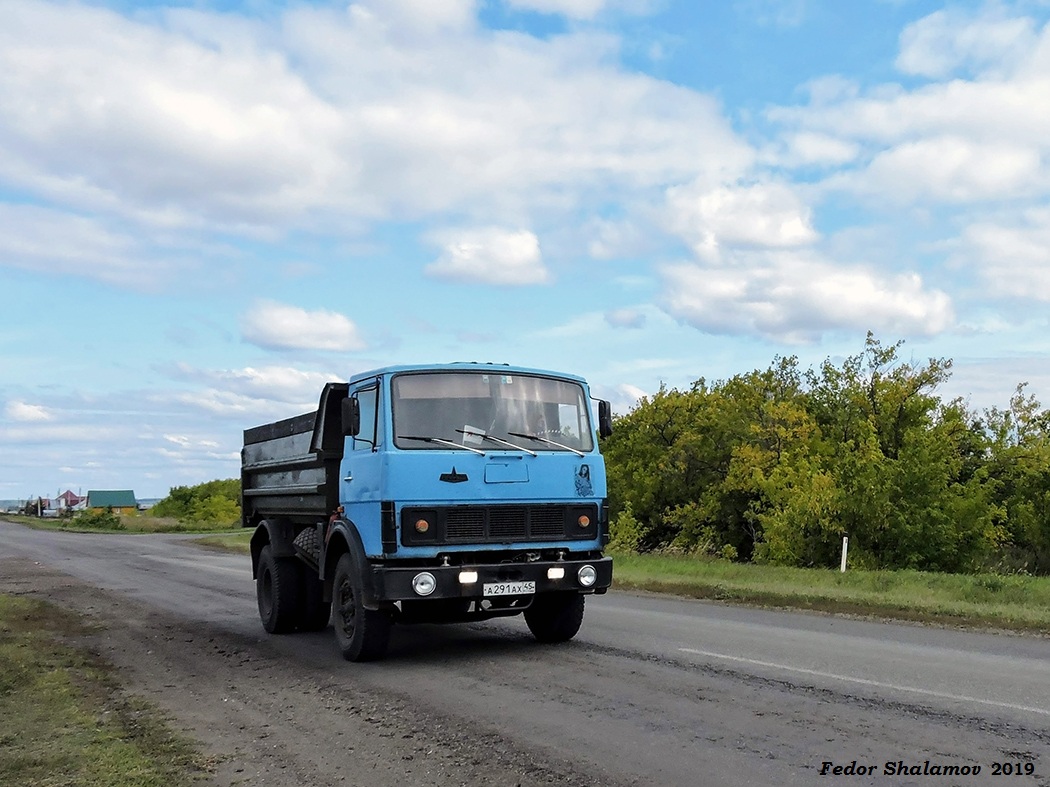 Курганская область, № А 291 АХ 45 — МАЗ-5551 [555100]