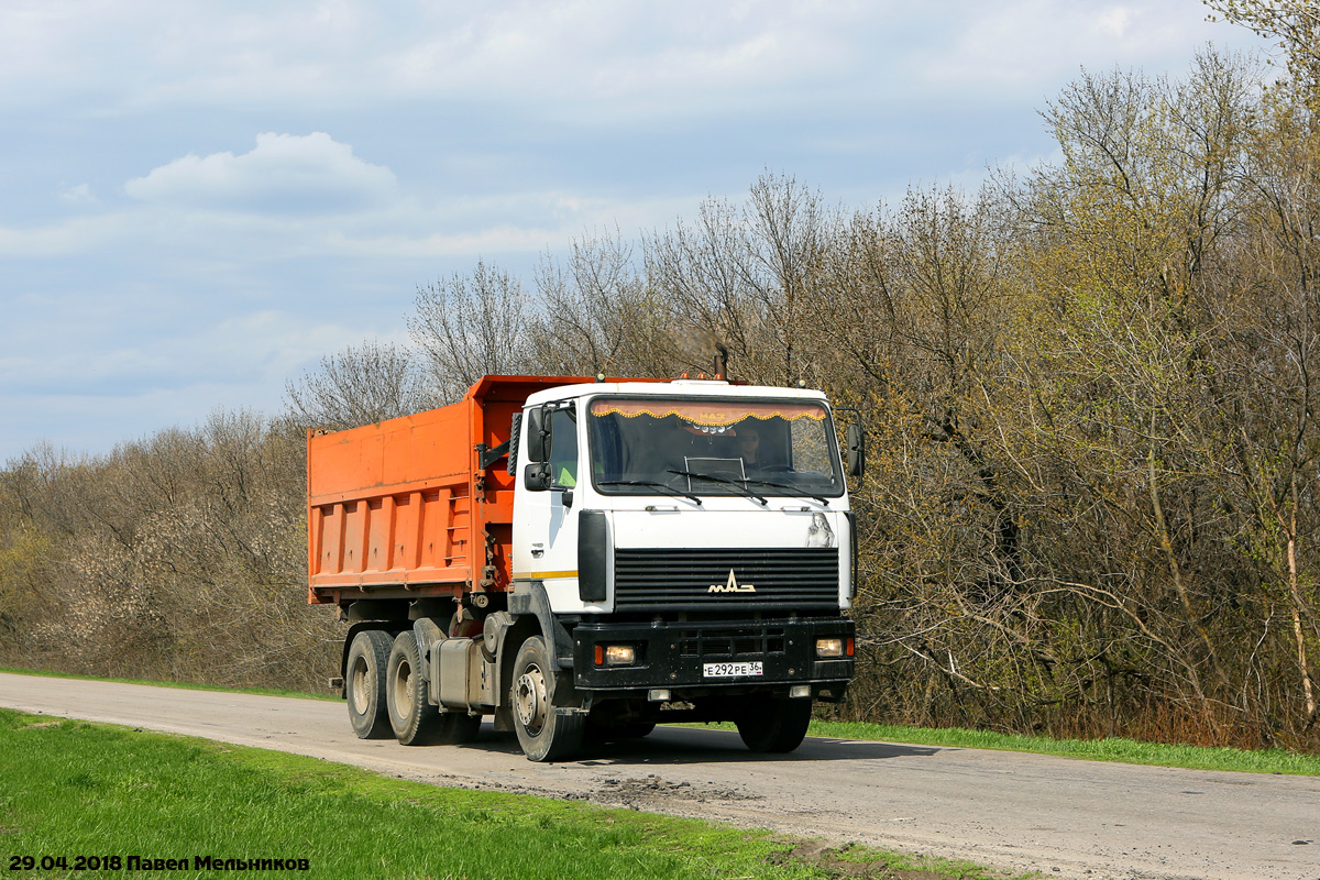 Воронежская область, № Е 292 РЕ 36 — МАЗ-6501A8