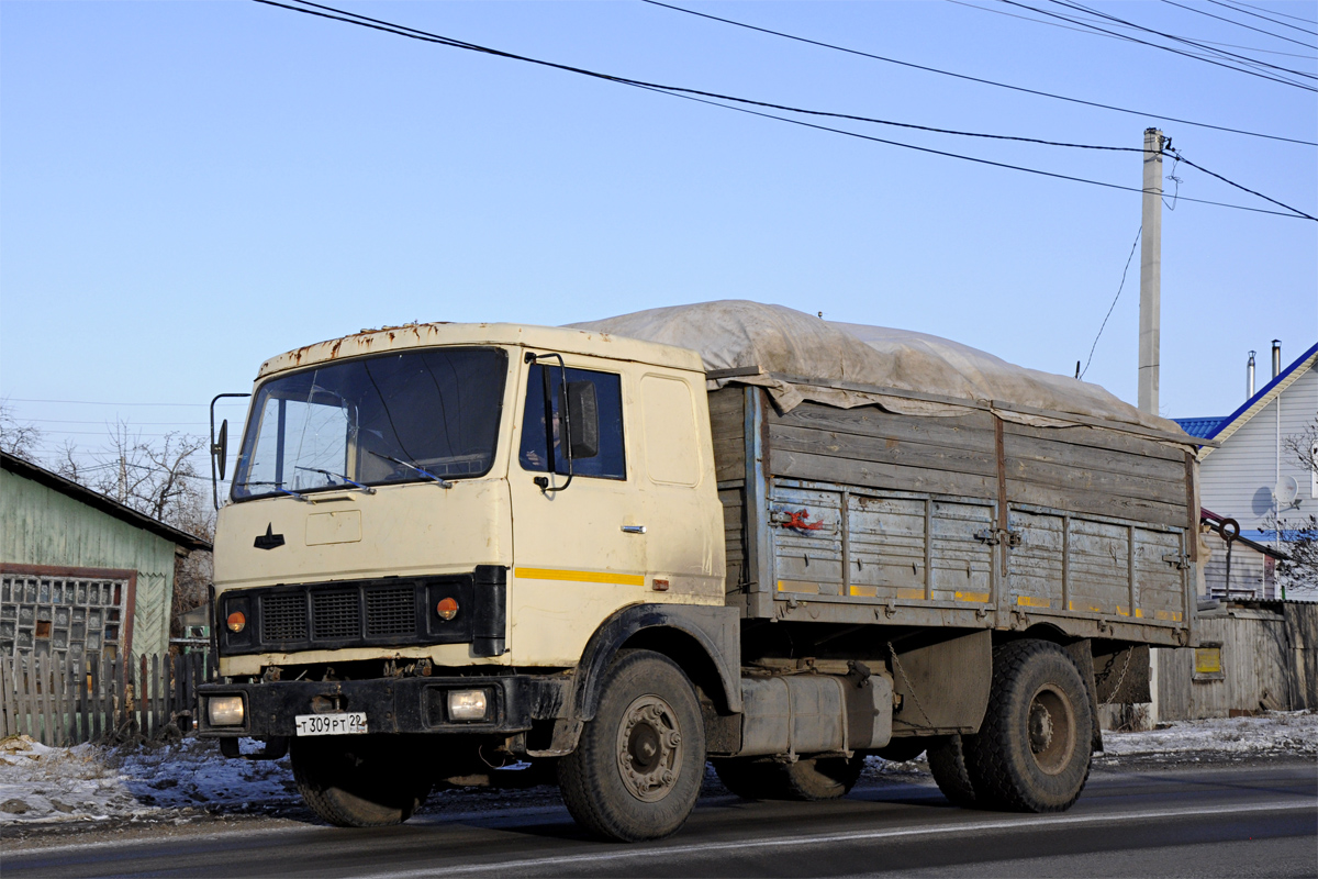 Алтайский край, № Т 309 РТ 22 — МАЗ-53371