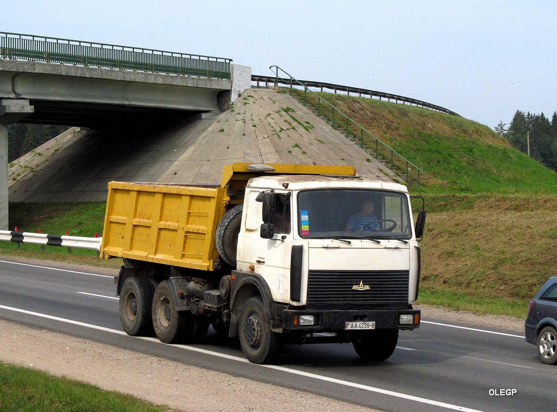 Могилёвская область, № АА 4239-6 — МАЗ-5516 (общая модель)