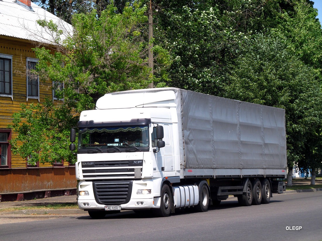 Брестская область, № АЕ 7250-1 — DAF XF105 FT