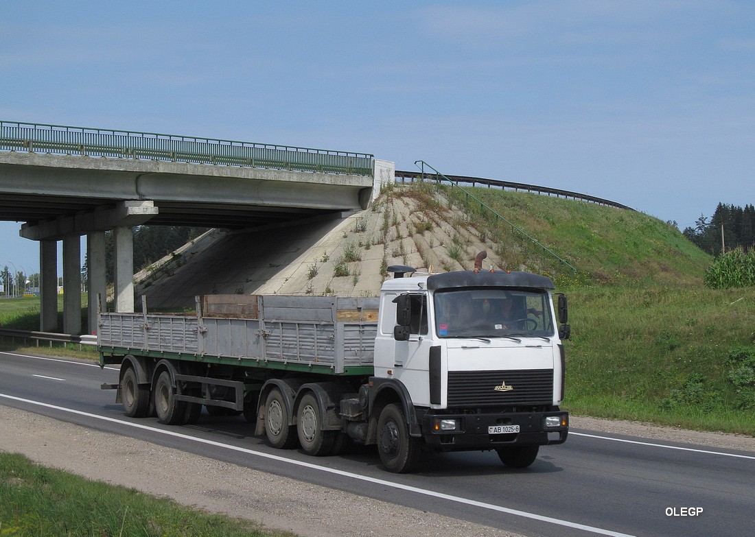 Могилёвская область, № АВ 1025-6 — МАЗ-6422 (общая модель)