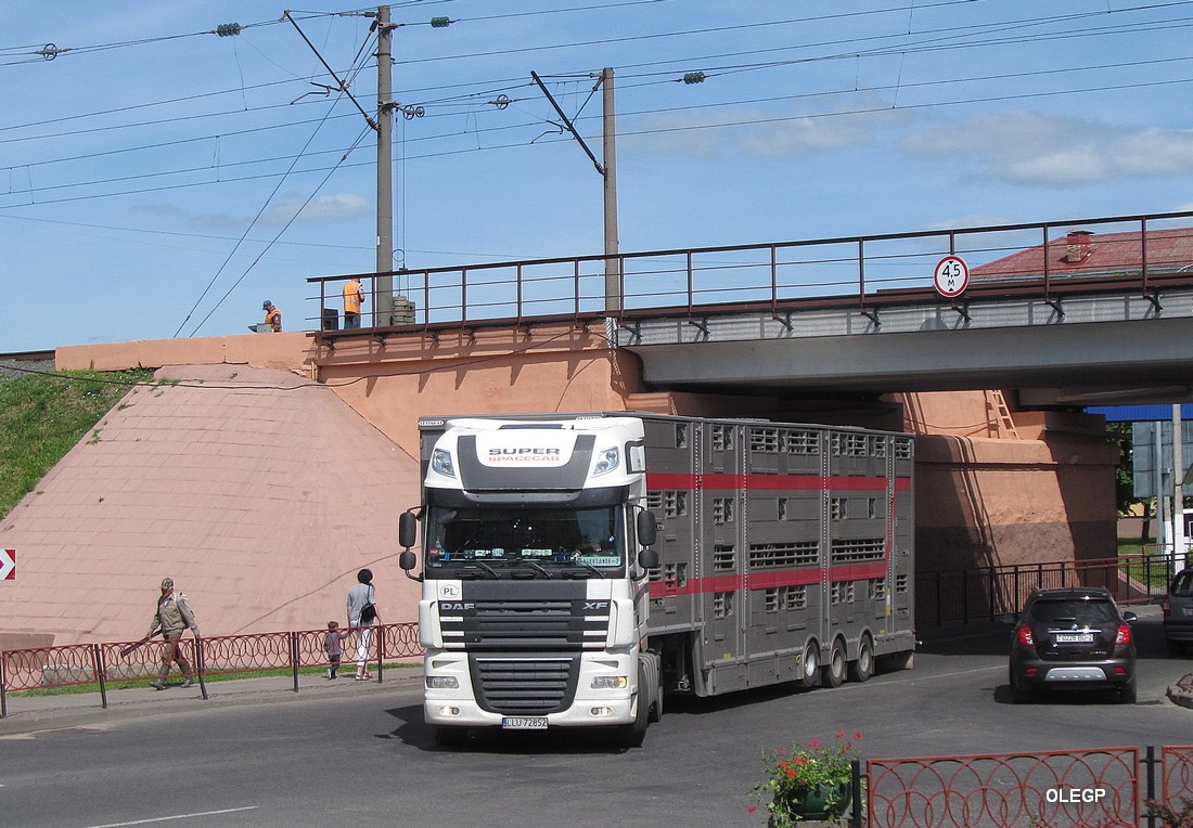 Польша, № LLU 72852 — DAF XF105 FT